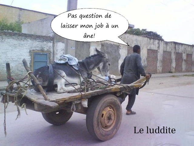 The Luddite and His Donkey